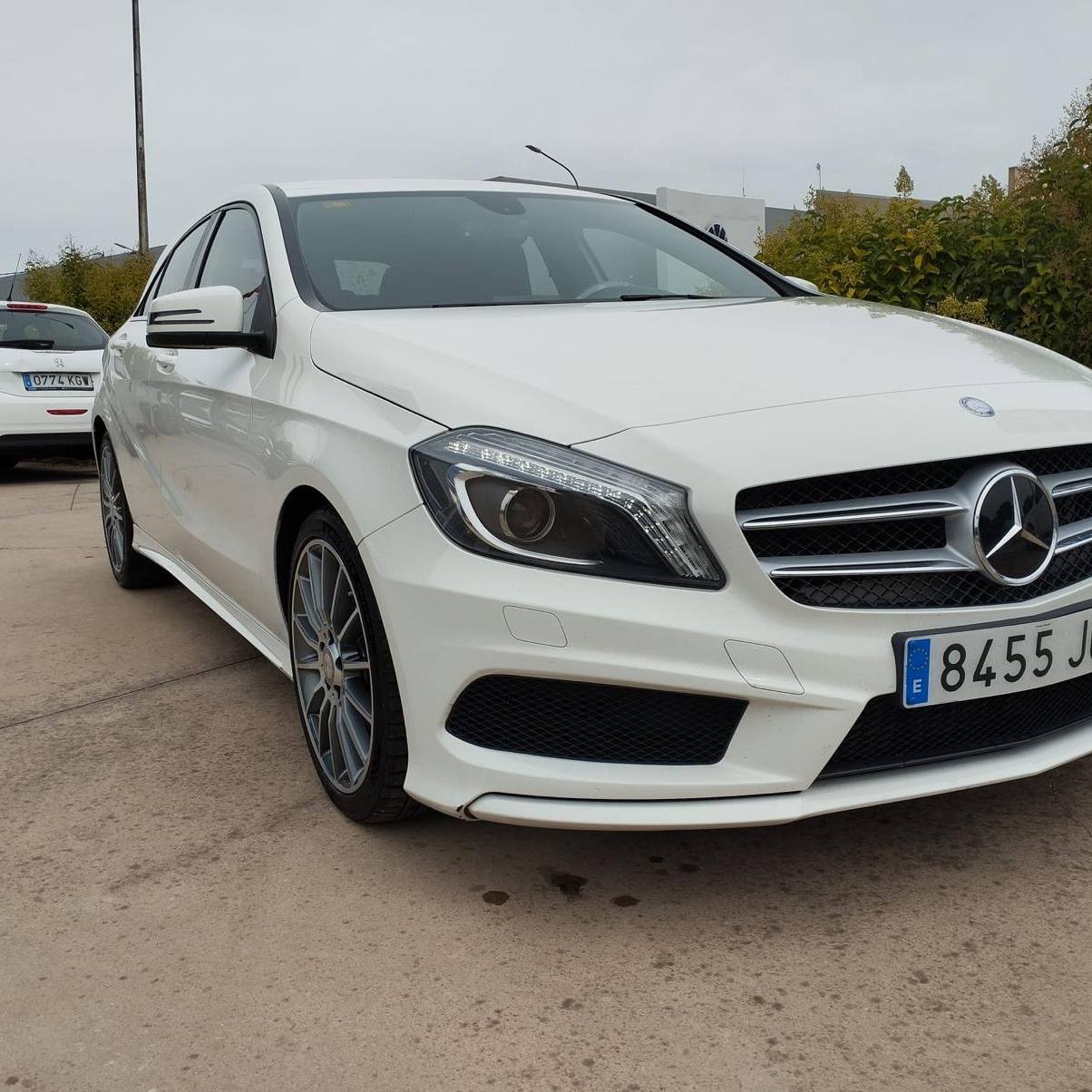 WhatsApp Image 2025 01 16 at 11.31.24